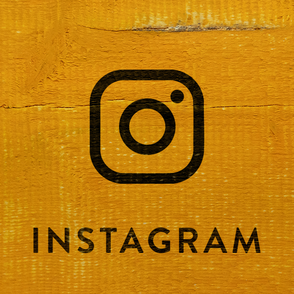 Zur Instagram Seite von Mia Morgan