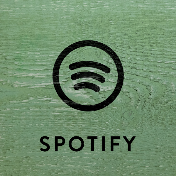 Zur Spotify Seite von Mia Morgan
